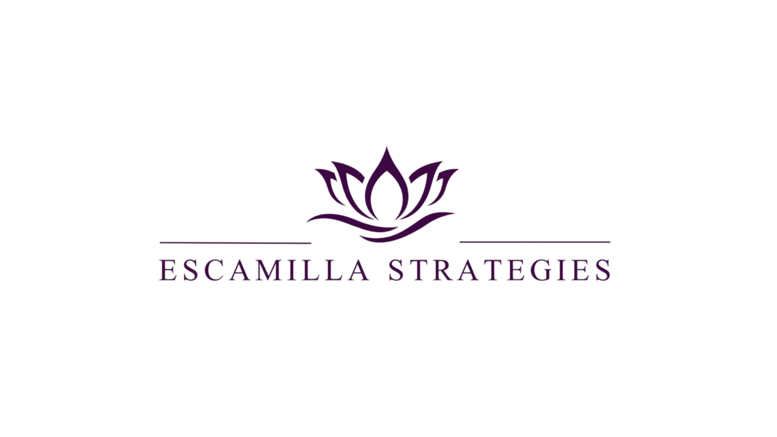 Escamilla Strategies organizational consulting